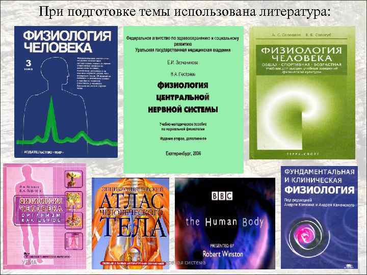 При подготовке темы использована литература: УГМА Нервная система 63 