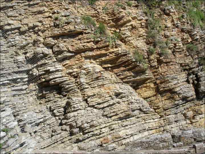 УГМА Нервная система 1 