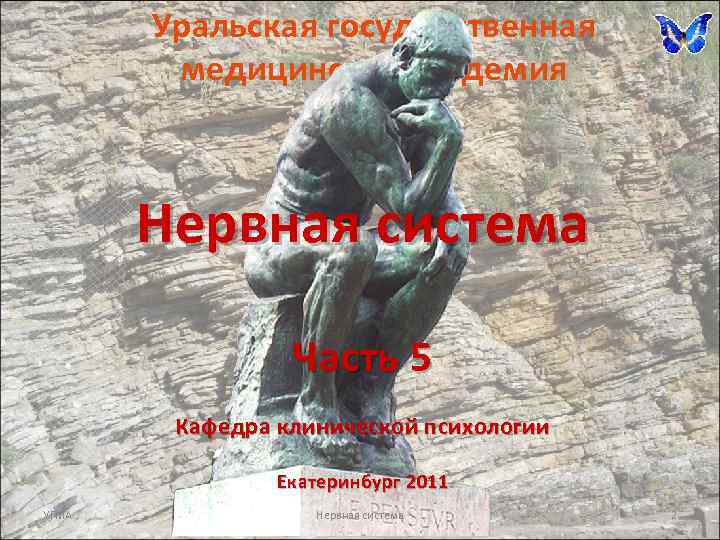 Уральская государственная медицинская академия Нервная система Часть 5 Кафедра клинической психологии Екатеринбург 2011 УГМА