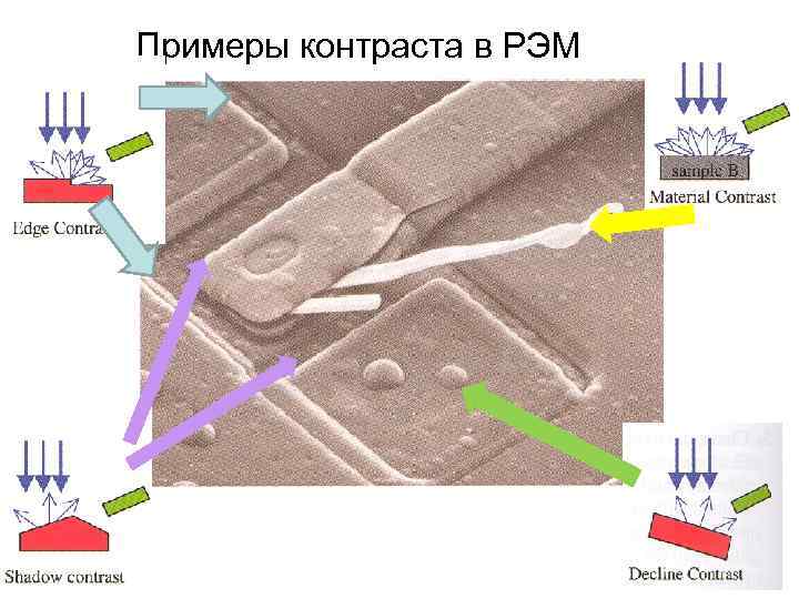 Примеры контраста в РЭМ 