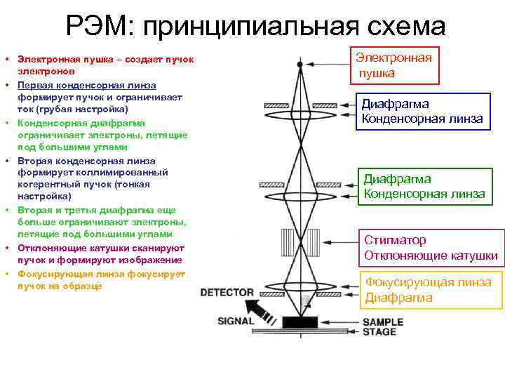 Сканирующий электронный микроскоп схема