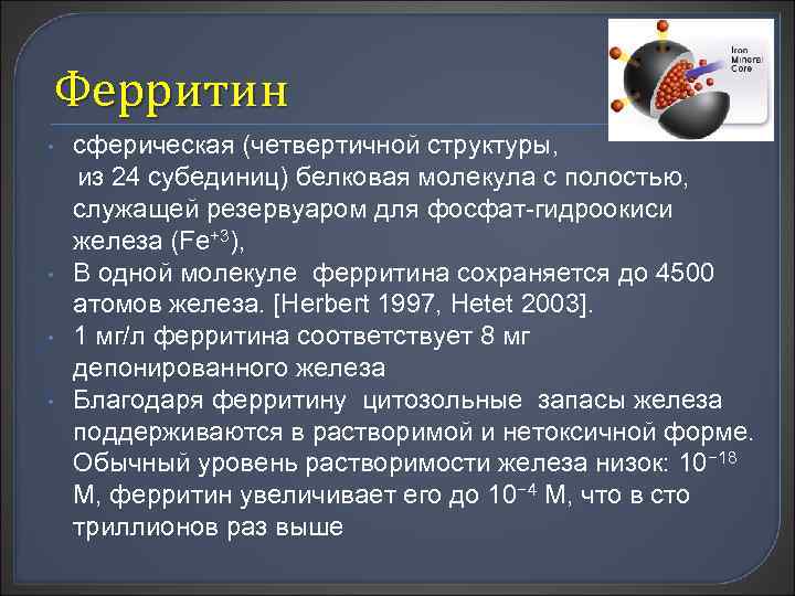 Ферритин • • сферическая (четвертичной структуры, из 24 субединиц) белковая молекула с полостью, служащей