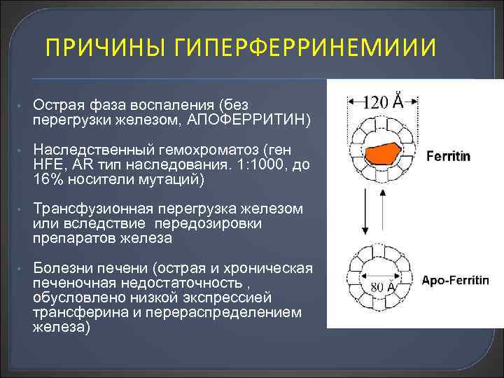 ПРИЧИНЫ ГИПЕРФЕРРИНЕМИИИ • Острая фаза воспаления (без перегрузки железом, АПОФЕРРИТИН) • Наследственный гемохроматоз (ген