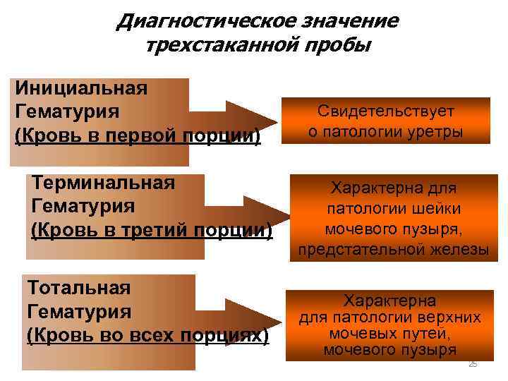 Диагностическое значение трехстаканной пробы Инициальная Гематурия (Кровь в первой порции) Терминальная Гематурия (Кровь в