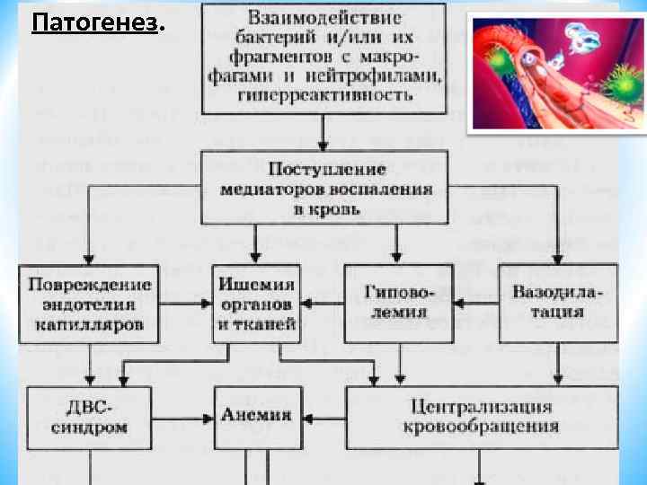 Патогенез. 