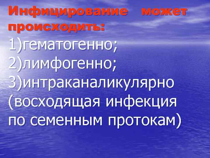 Инфицирование может происходить: 1)гематогенно; 2)лимфогенно; 3)интраканаликулярно (восходящая инфекция по семенным протокам) 