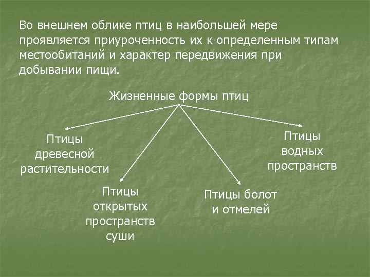 Внешний облик организма. Жизненные формы птиц. Классификация жизненных форм птиц. Жизненные формы птиц таблица. Основные жизненные формы птиц.