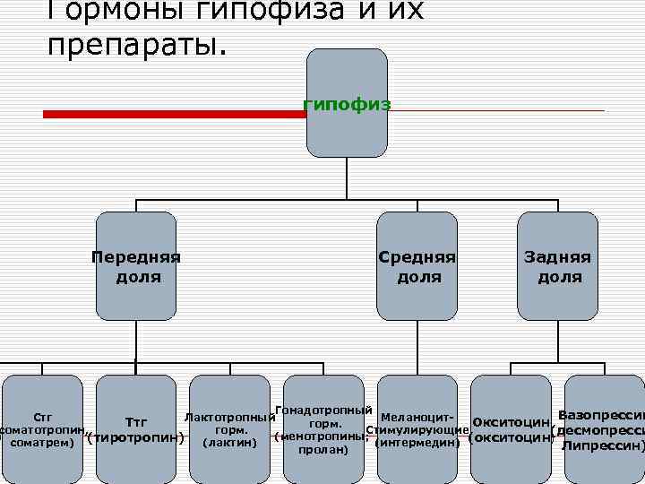 Гормоны гипофиза и их препараты. гипофиз Передняя доля Средняя доля Задняя доля Гонадотропный Вазопрессин