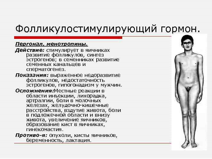 Фолликулостимулирующий гормон. Пергонал, менотропины. Действие: стимулирует в яичниках развитие фолликулов, синтез эстрогенов; в семенниках