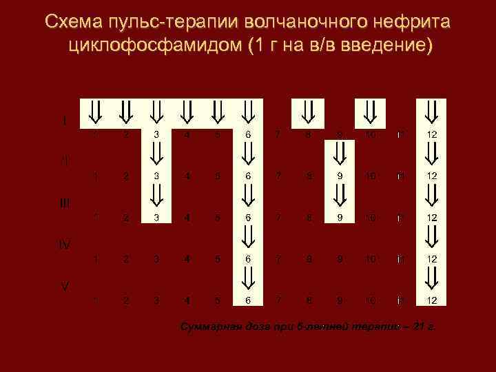 Схема пульс-терапии волчаночного нефрита циклофосфамидом (1 г на в/в введение) 
