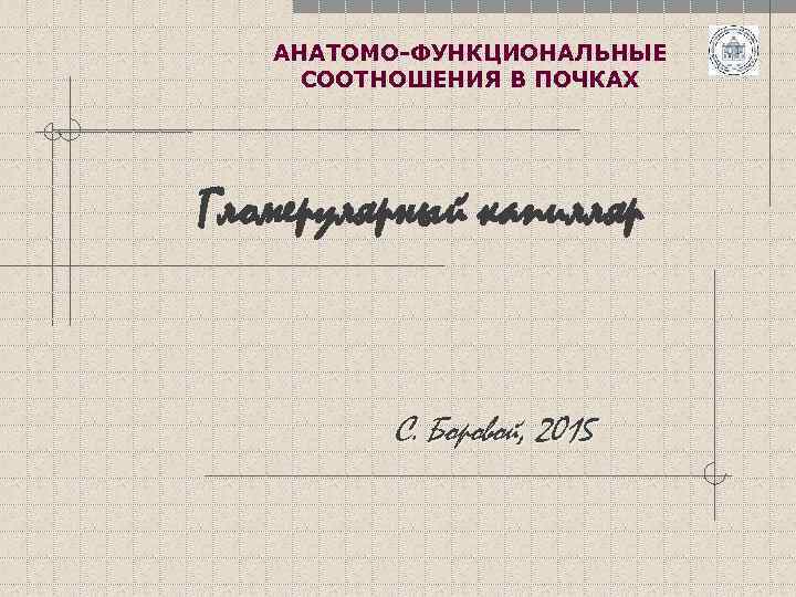АНАТОМО-ФУНКЦИОНАЛЬНЫЕ СООТНОШЕНИЯ В ПОЧКАХ Гломерулярный капилляр С. Боровой, 2015 