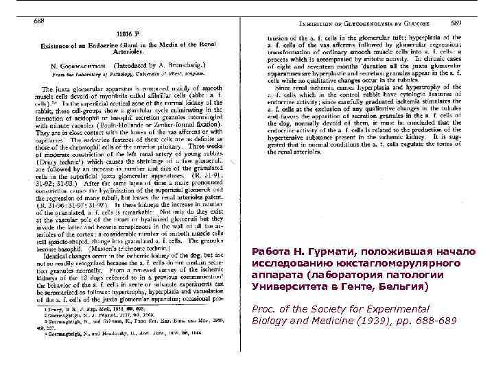 Работа Н. Гурмати, положившая начало исследованию юкстагломерулярного аппарата (лаборатория патологии Университета в Генте, Бельгия)