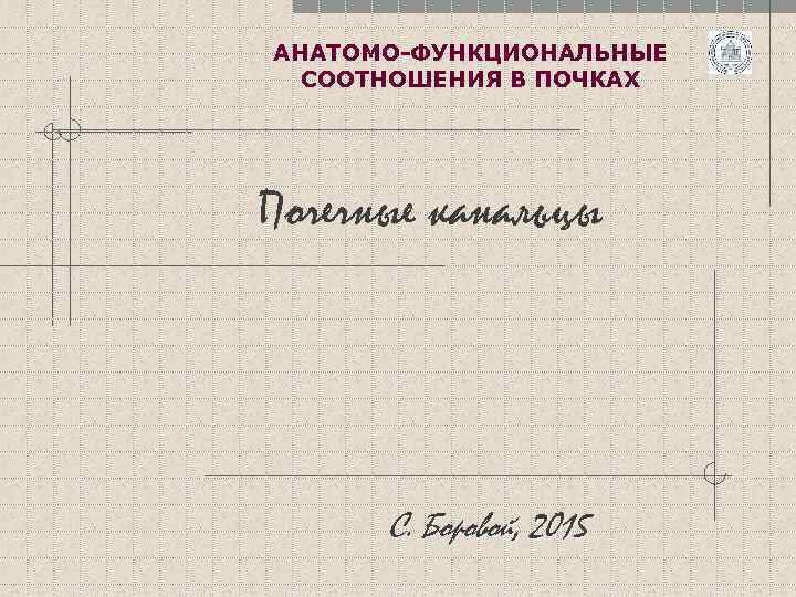 АНАТОМО-ФУНКЦИОНАЛЬНЫЕ СООТНОШЕНИЯ В ПОЧКАХ Почечные канальцы С. Боровой, 2015 
