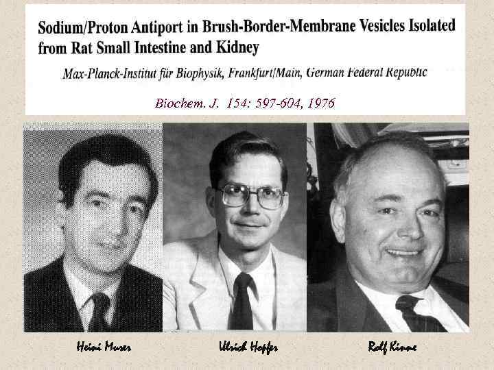 Biochem. J. 154: 597 -604, 1976 Heini Murer Ulrich Hopfer Rolf Kinne 