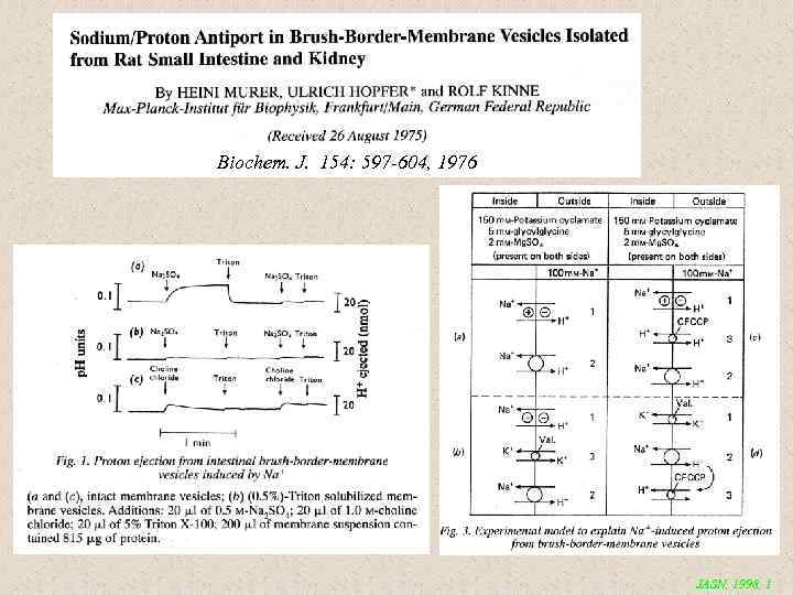 Biochem. J. 154: 597 -604, 1976 JASN, 1998, 1 