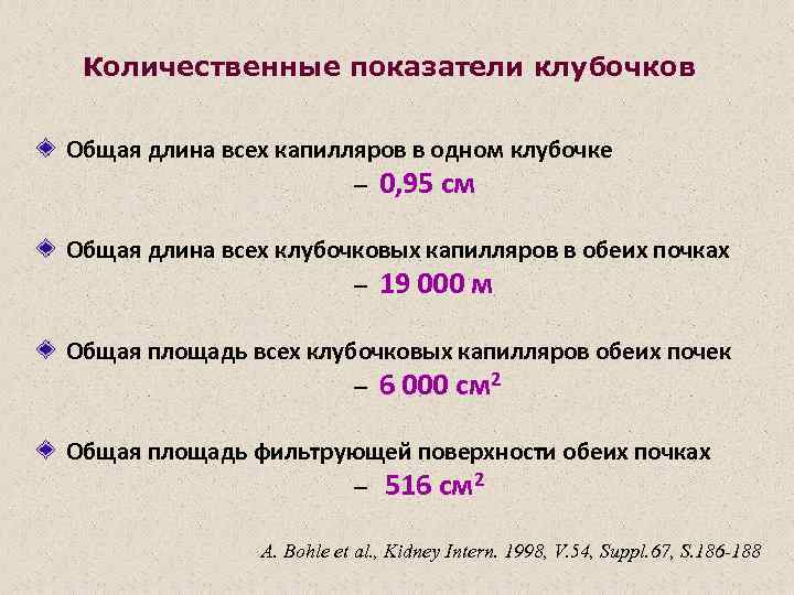 Количественные показатели клубочков Общая длина всех капилляров в одном клубочке – 0, 95 см