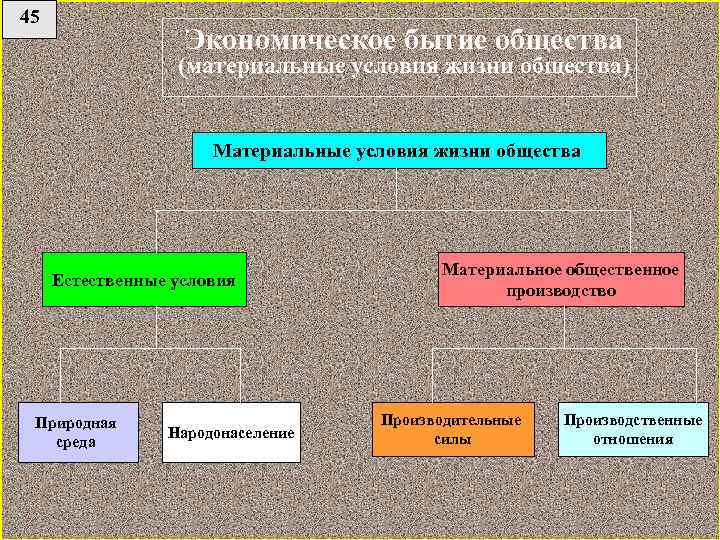 45 Экономическое бытие общества (материальные условия жизни общества) Материальные условия жизни общества Естественные условия