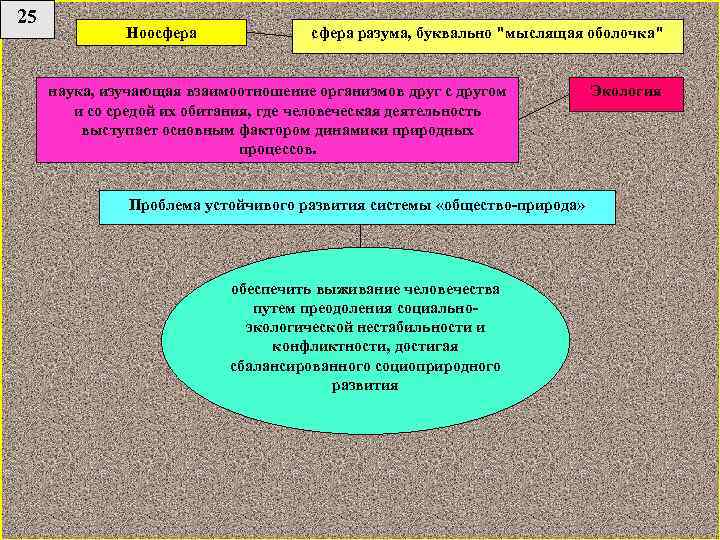 25 Ноосфера разума, буквально 