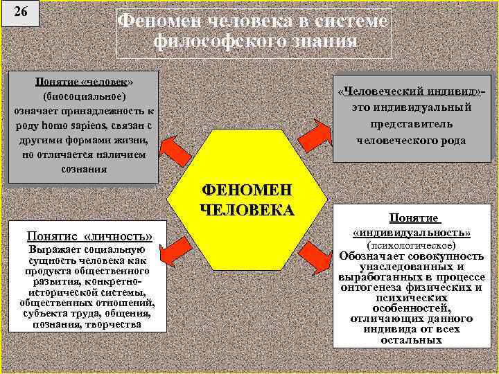 Общество как предмет философии философия истории. Феномен человека в системе философского знания. Феномен человека в истории философии. Феномен человека кратко. Феномен человека в русской философии.