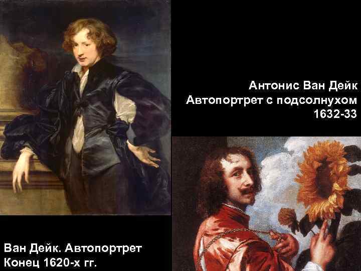Антонис Ван Дейк Автопортрет с подсолнухом 1632 -33 Ван Дейк. Автопортрет Конец 1620 -х
