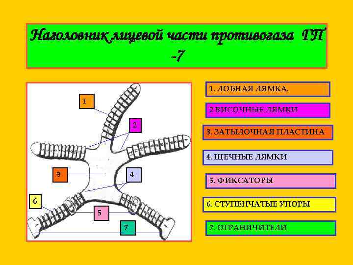 Наголовник лицевой части противогаза ГП -7 1. ЛОБНАЯ ЛЯМКА. 1 2 ВИСОЧНЫЕ ЛЯМКИ 2
