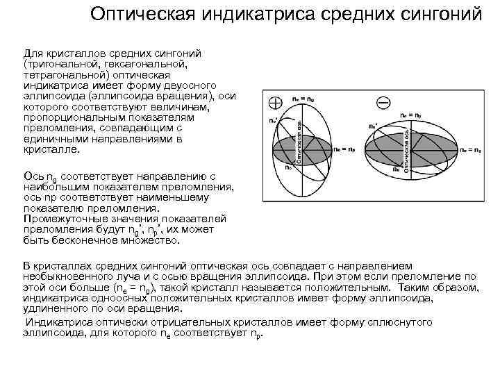 Оптическая индикатриса средних сингоний Для кристаллов средних сингоний (тригональной, гексагональной, тетрагональной) оптическая индикатриса имеет
