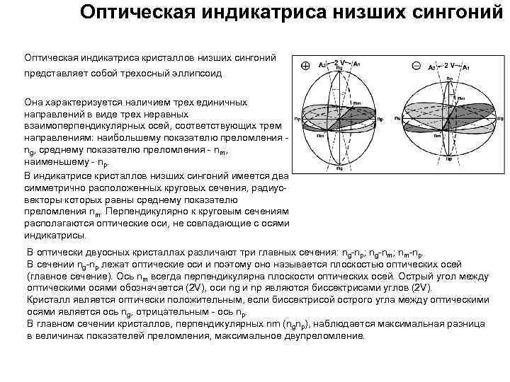 Виды оптических осей