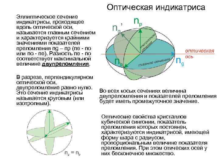 Виды оптических осей