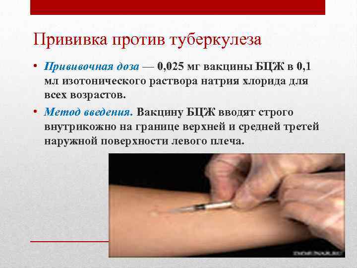 Прививка против туберкулеза • Прививочная доза — 0, 025 мг вакцины БЦЖ в 0,