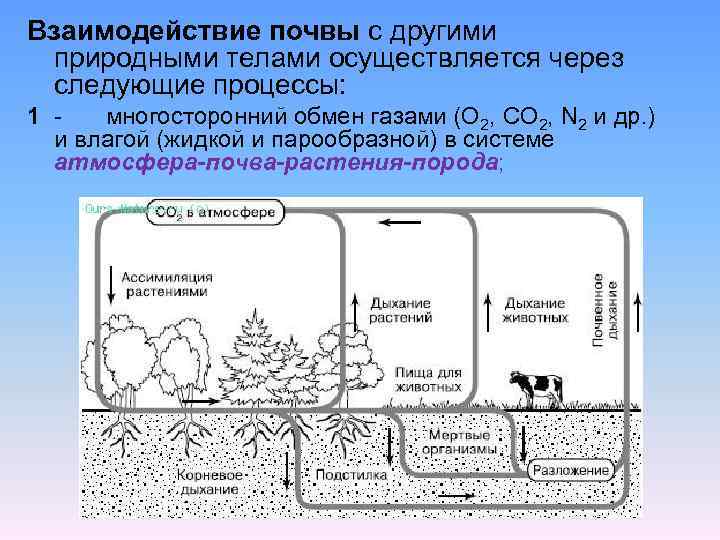 Взаимодействие почвы с другими природными телами осуществляется через следующие процессы: 1 многосторонний обмен газами