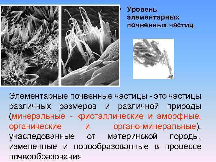  • Уровень элементарных почвенных частиц. Элементарные почвенные частицы - это частицы различных размеров