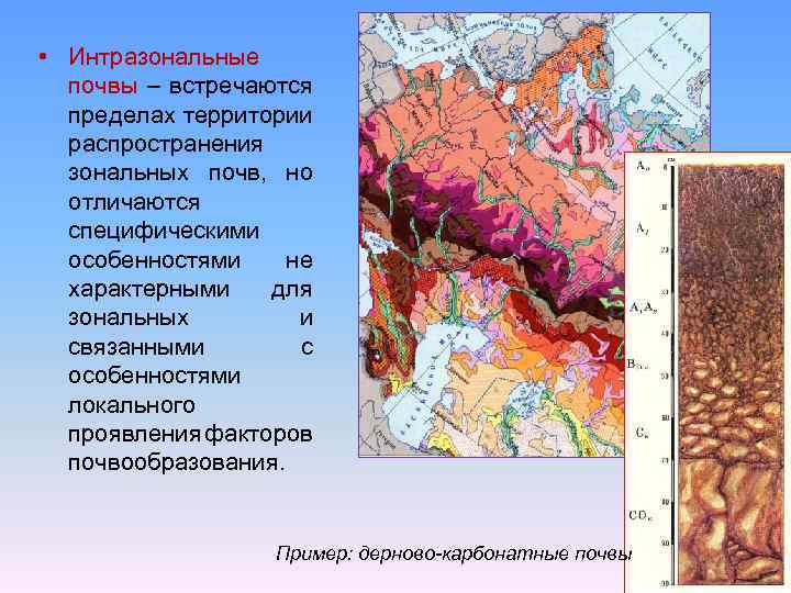  • Интразональные почвы – встречаются пределах территории распространения зональных почв, но отличаются специфическими