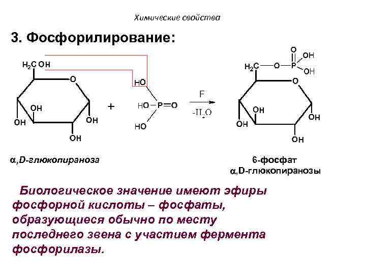 Химические свойства 3. Фосфорилирование: , D-глюкопираноза 6 -фосфат , D-глюкопиранозы Биологическое значение имеют эфиры