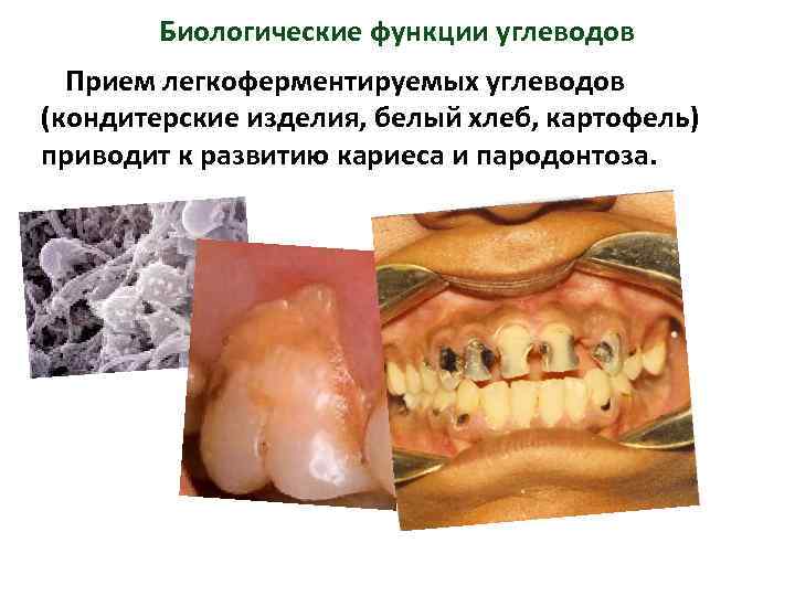 Биологические функции углеводов Прием легкоферментируемых углеводов (кондитерские изделия, белый хлеб, картофель) приводит к развитию