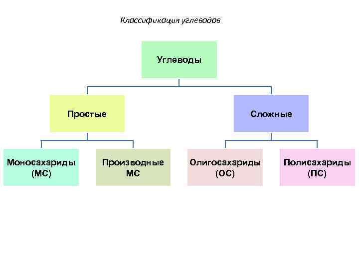 Классификация углеводов Углеводы Простые Моносахариды (МС) Производные МС Сложные Олигосахариды (ОС) Полисахариды (ПС) 