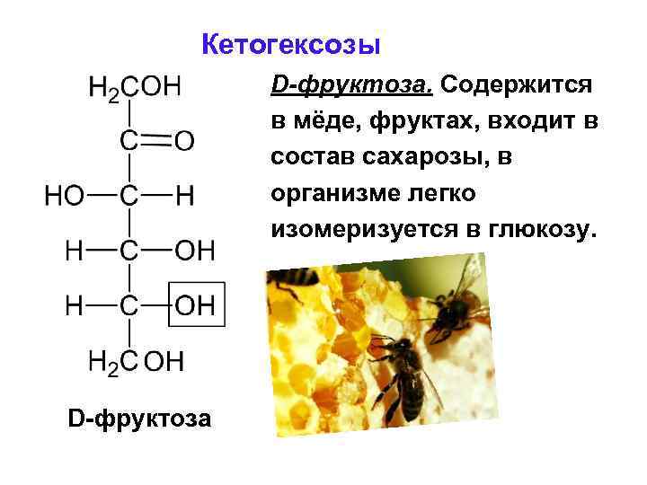 Кетогексозы D-фруктоза. Содержится в мёде, фруктах, входит в состав сахарозы, в организме легко изомеризуется