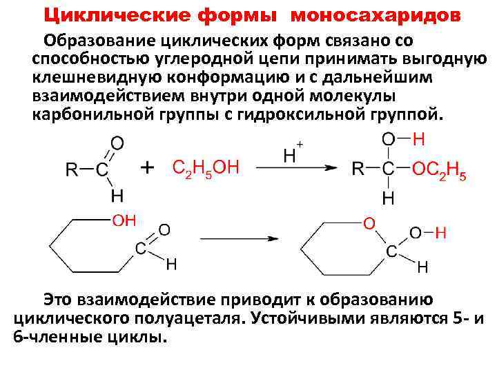 Циклические формы моносахаридов Образование циклических форм связано со способностью углеродной цепи принимать выгодную клешневидную