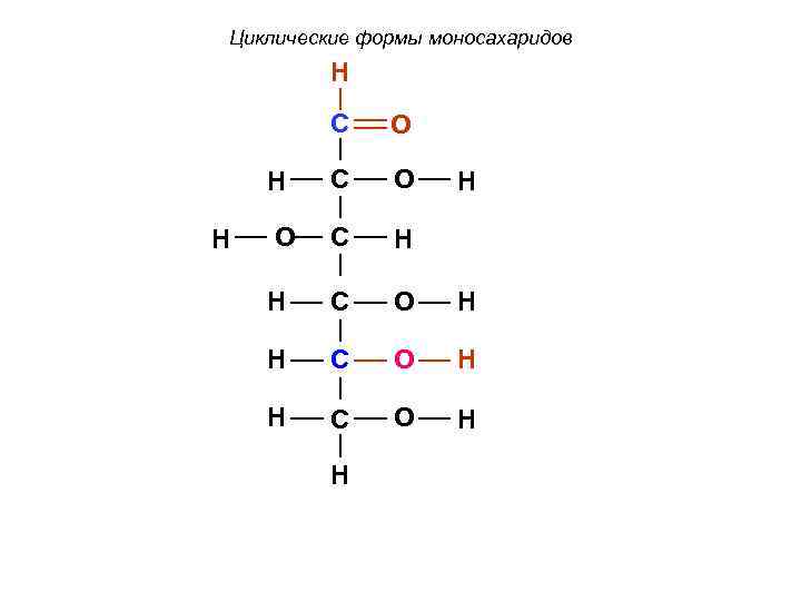 Циклические формы моносахаридов H C H H O C O O C H H
