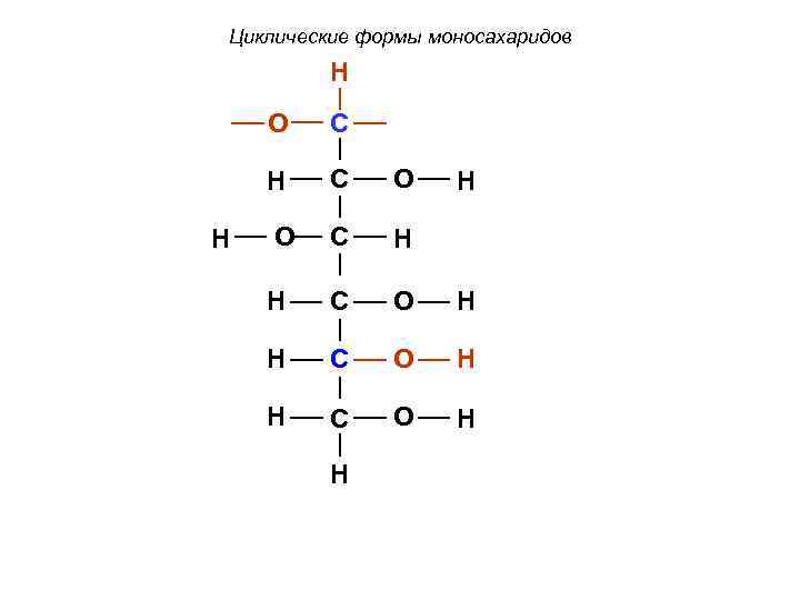 Циклические формы моносахаридов H O H H C C O O C H H