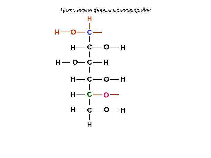 Циклические формы моносахаридов H O H H H C C O O C H