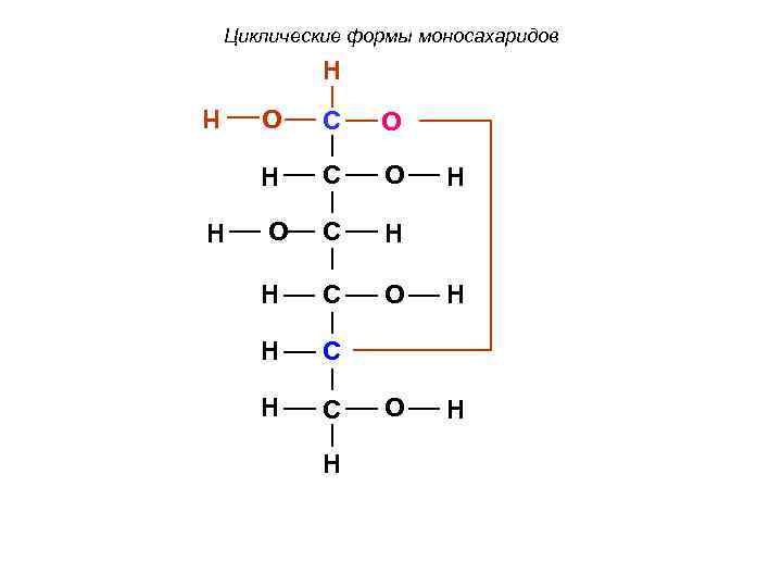 Циклические формы моносахаридов H O O H H H C C O O C