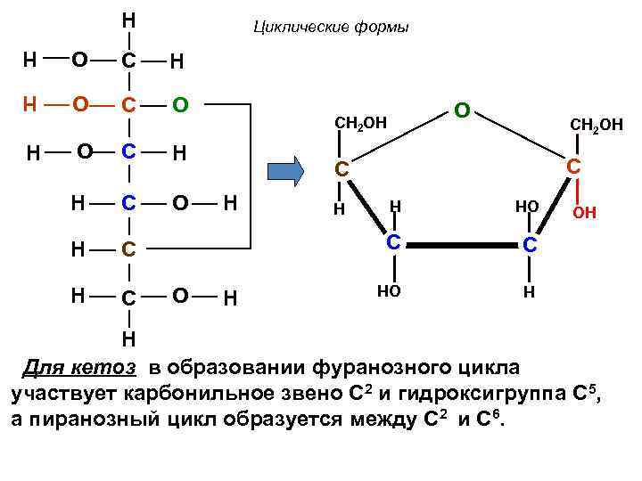 H Циклические формы H O H H C O H C C C H