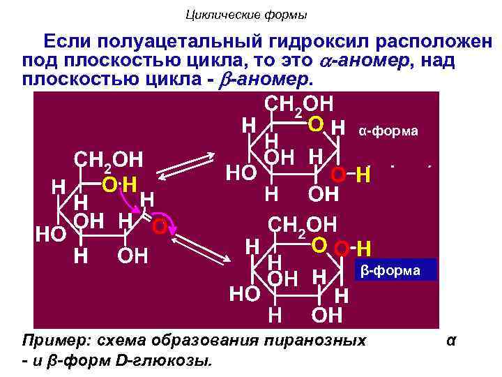 Циклические формы Если полуацетальный гидроксил расположен под плоскостью цикла, то это -аномер, над плоскостью