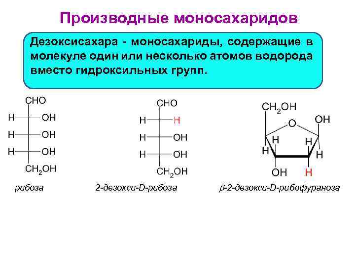 Производные моносахаридов Дезоксисахара - моносахариды, содержащие в молекуле один или несколько атомов водорода вместо