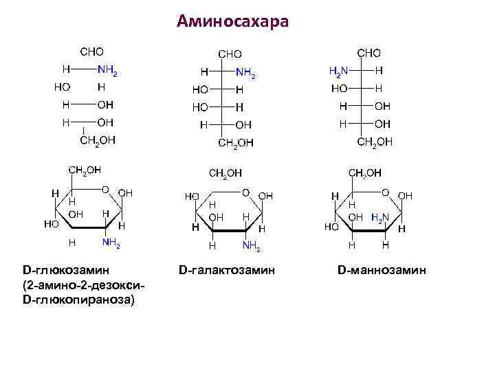 Аминосахара D-глюкозамин (2 -амино-2 -дезокси. D-глюкопираноза) D-галактозамин D-маннозамин 