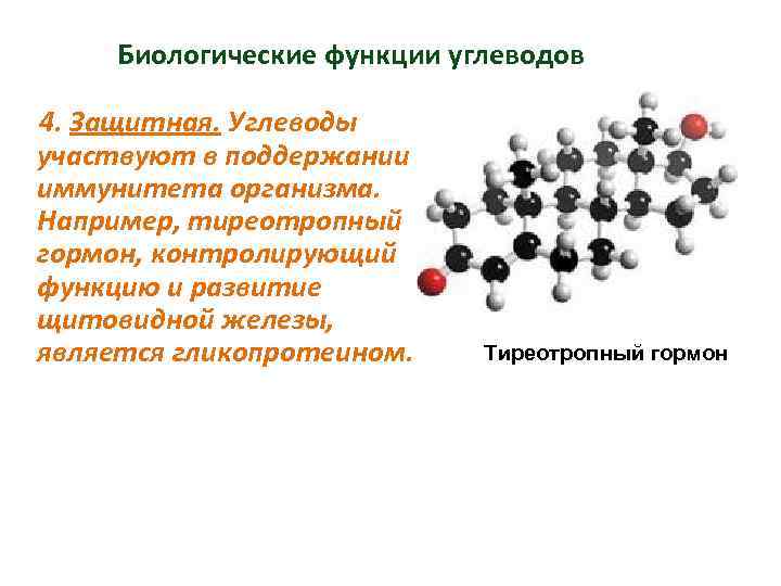 Биологические функции углеводов 4. Защитная. Углеводы участвуют в поддержании иммунитета организма. Например, тиреотропный гормон,