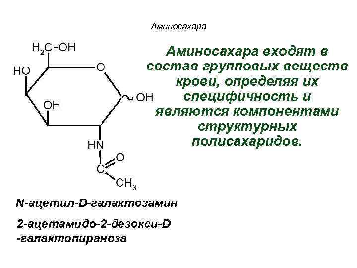 Аминосахара входят в состав групповых веществ крови, определяя их специфичность и являются компонентами структурных
