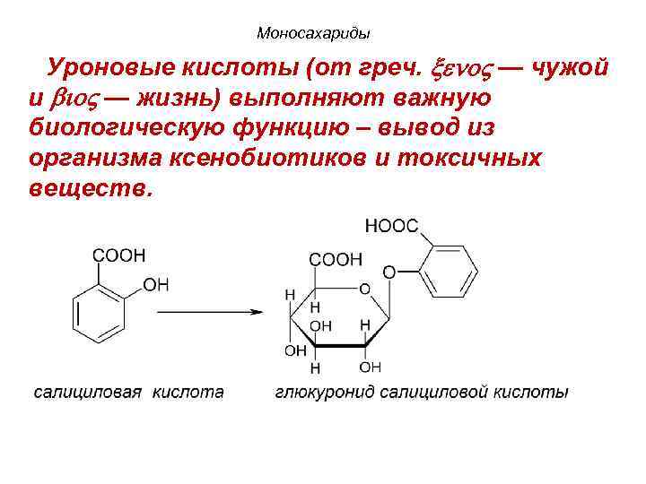 Моносахариды Уроновые кислоты (от греч. eno — чужой и io — жизнь) выполняют важную
