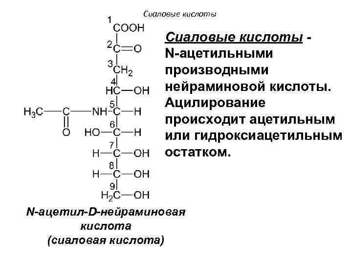 Сиаловые кислоты N-ацетильными производными нейраминовой кислоты. Ацилирование происходит ацетильным или гидроксиацетильным остатком. N-ацетил-D-нейраминовая кислота