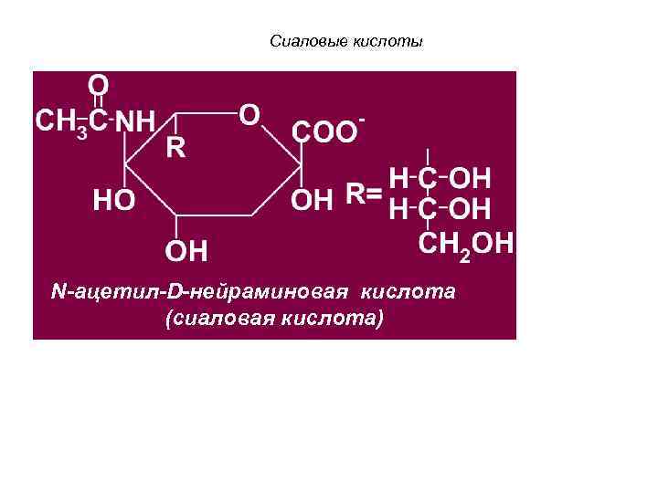 Сиаловые кислоты N-ацетил-D-нейраминовая кислота (сиаловая кислота) 